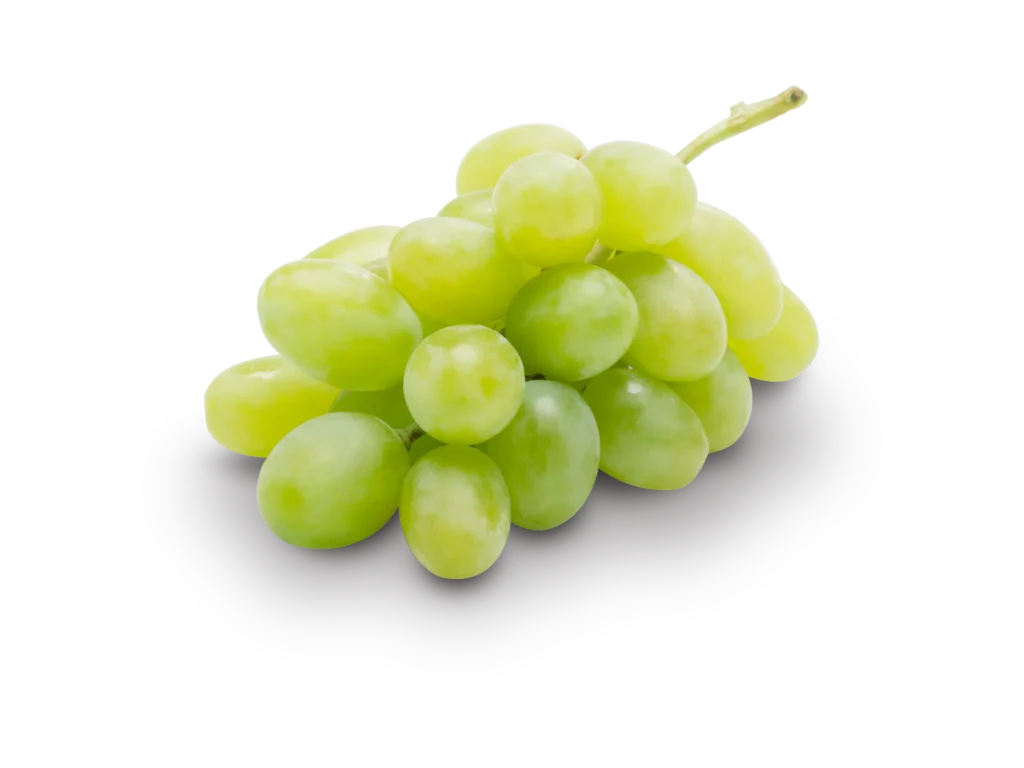 grapes.png