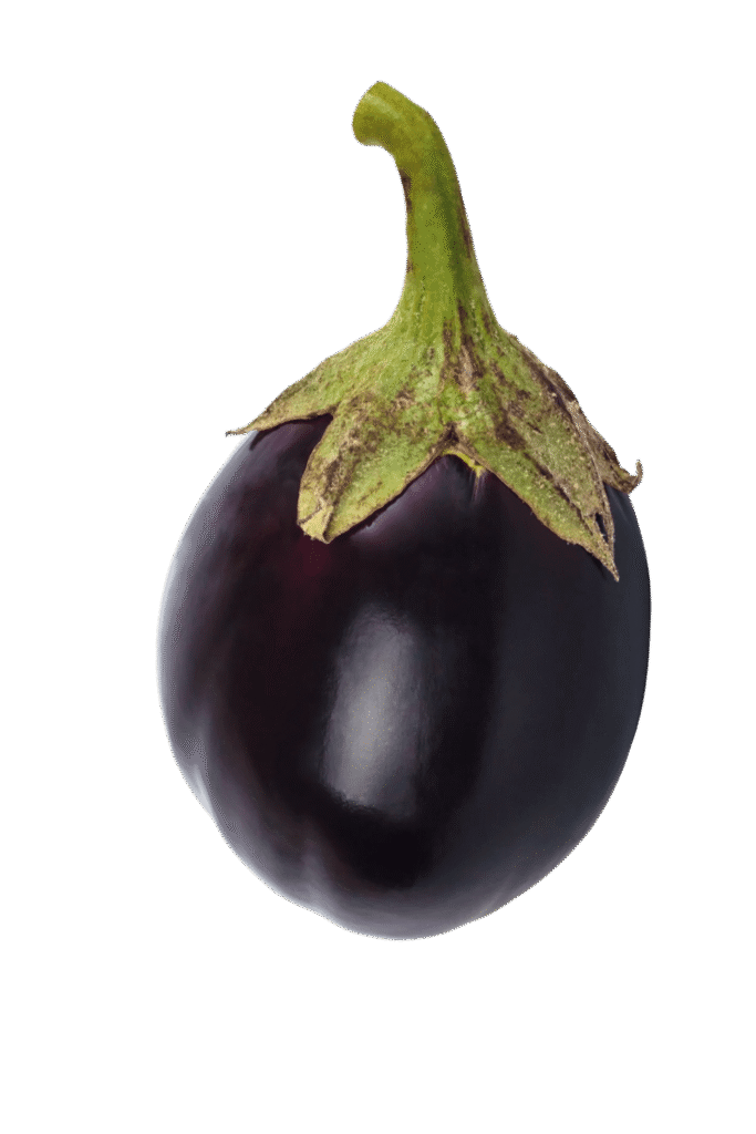12.brinjal big 1pc (1)