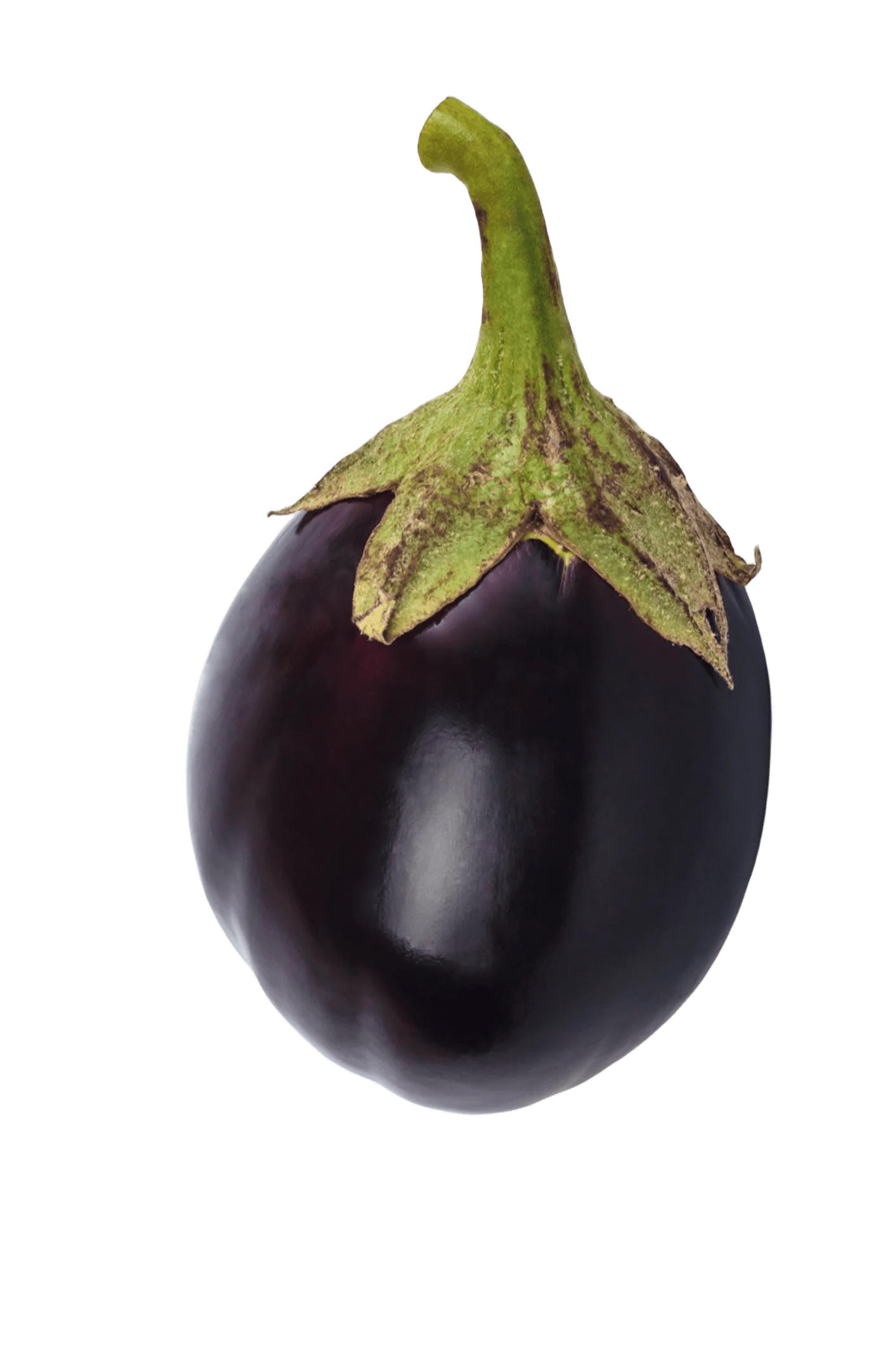 12.brinjal big 1pc (1)