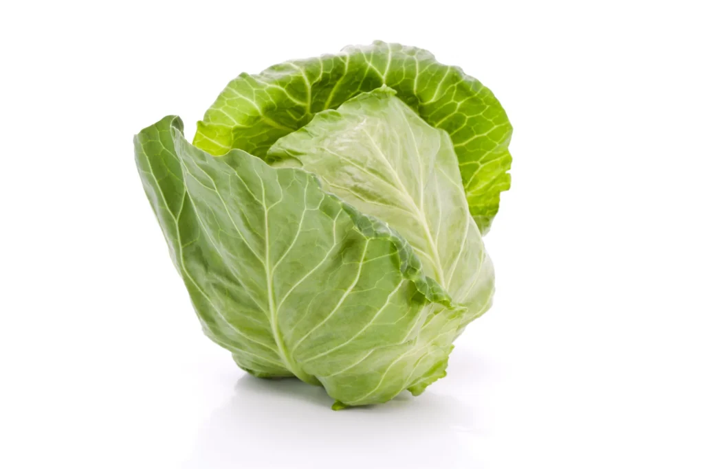 15 cabbage 1 piece