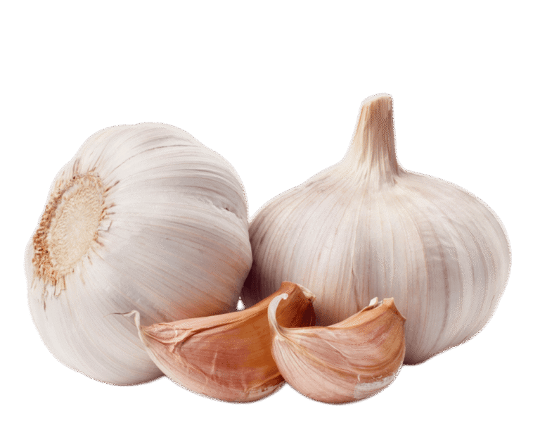 garlic