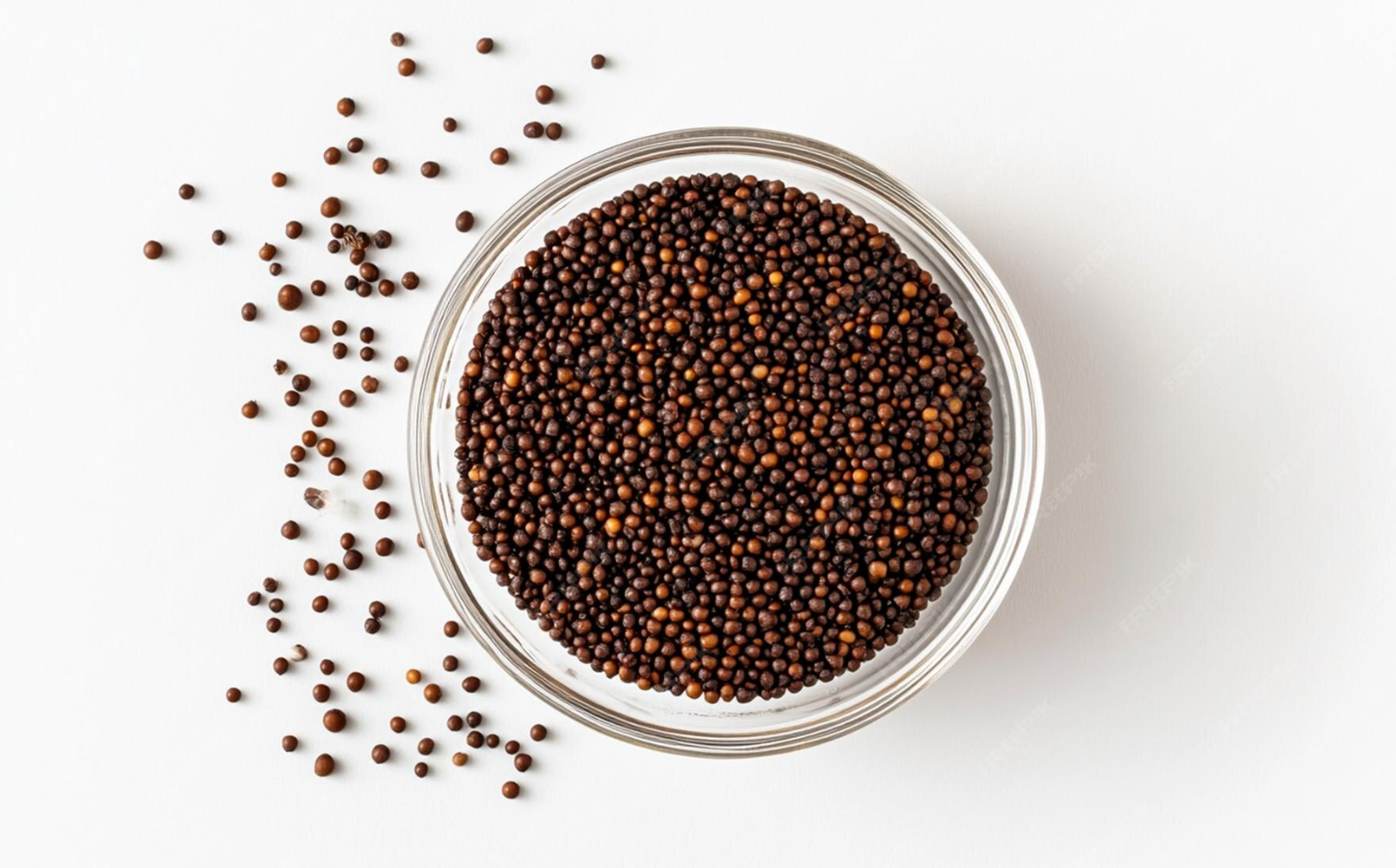 screenshot 2026 01 25 224817