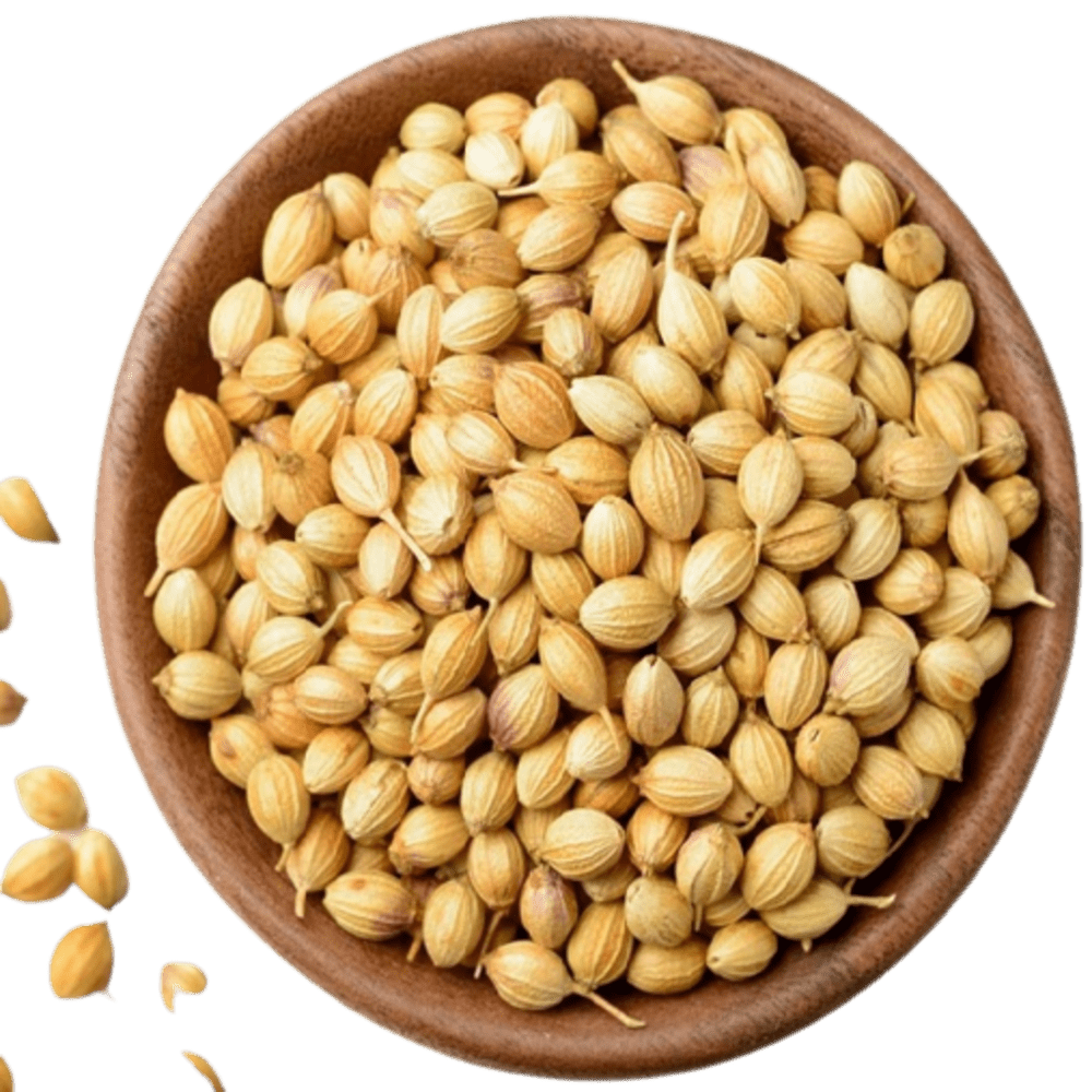 coriander seeds