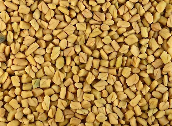 fenugreek