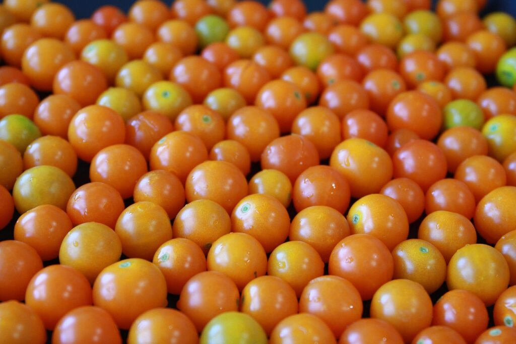 yellow cherry tomato, yellow tomato, cherry tomato, small tomatoes, yellow, tomato, orange, healthy food, vegetables, garden vegetables