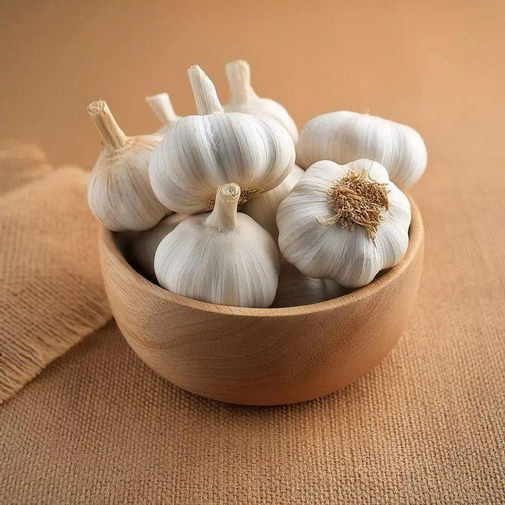 garlic