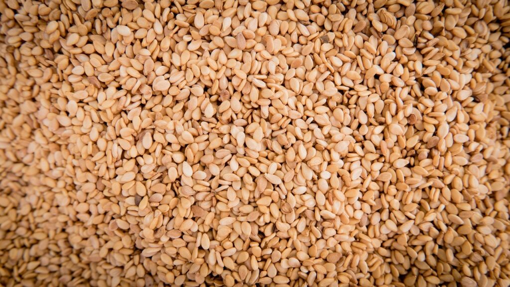 sesame, seeds, sesame seeds, sesamum indicum, pedaliaceae, oil plant, sesame plants, cultivated, healthy, food, nourishment, meal, natural product, sesame, sesame, sesame, sesame, sesame, sesame seeds, sesame seeds, sesame seeds, sesame seeds