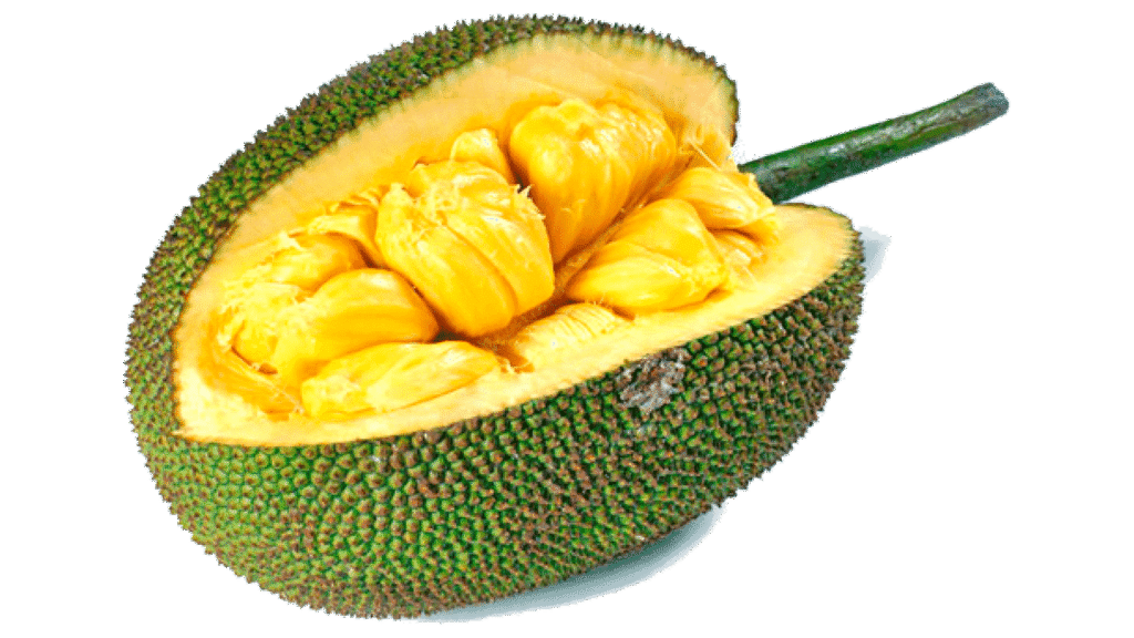 jackfruit