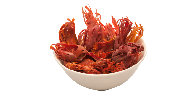 mace no background isolated image png pngsource r51my1b6