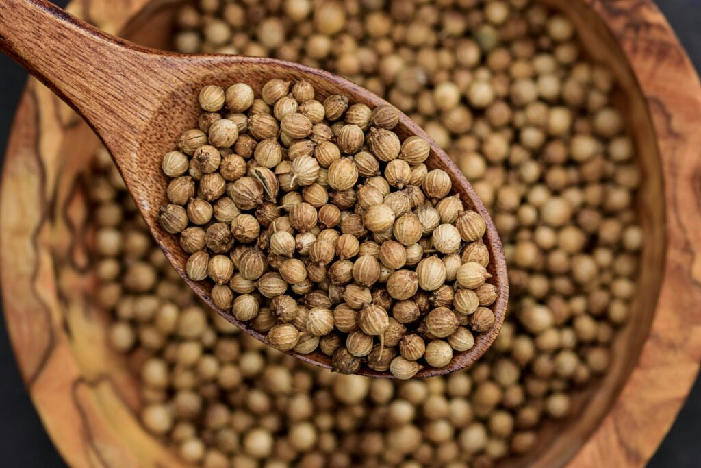 Detailed view of coriander seeds in a wooden spoon, emphasizing texture.