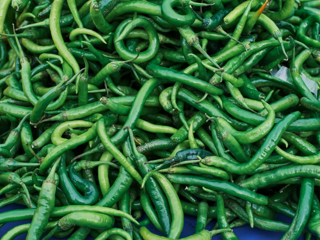 Close-up of a fresh, abundant pile of green chilies, highlighting their spicy and organic nature.