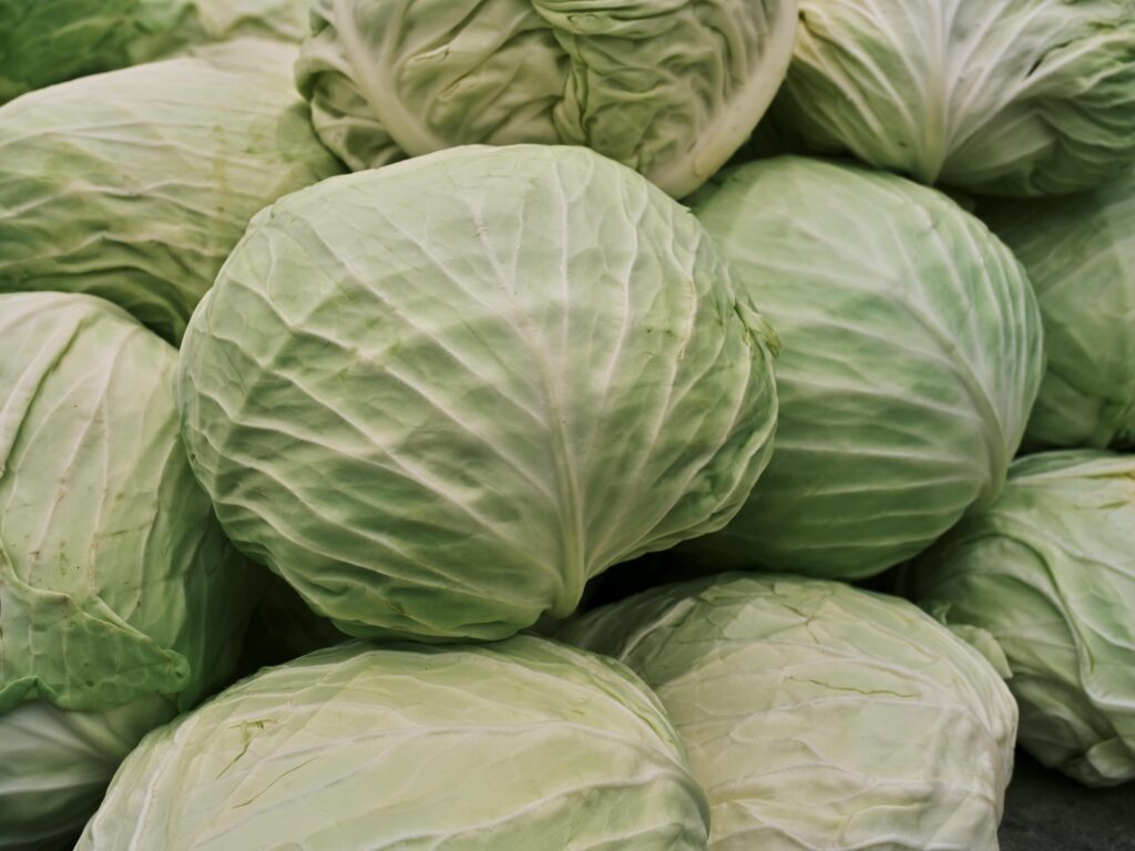 Close-up view of fresh green cabbages piled at a market, emphasizing texture and freshness.