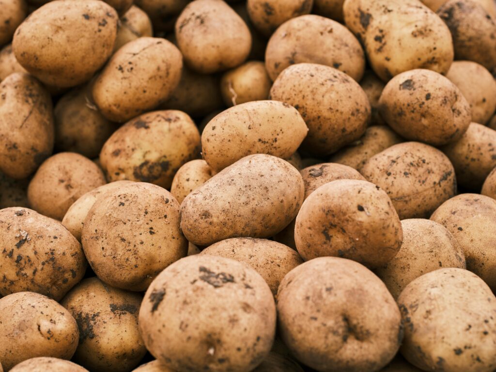 Close-up of freshly harvested potatoes with earthy tones, ideal for agriculture themes.