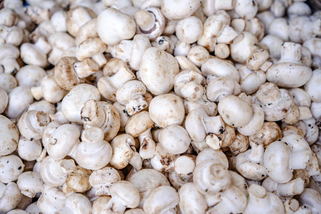 Abundance of fresh organic white button mushrooms piled together.
