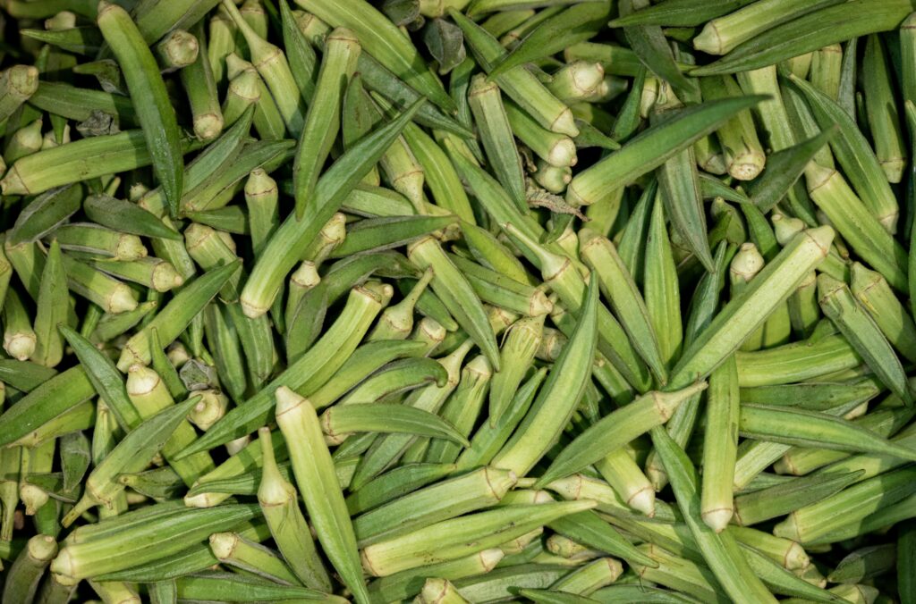 A close-up image of abundant fresh okra pods, ideal for healthy cooking and food photography.