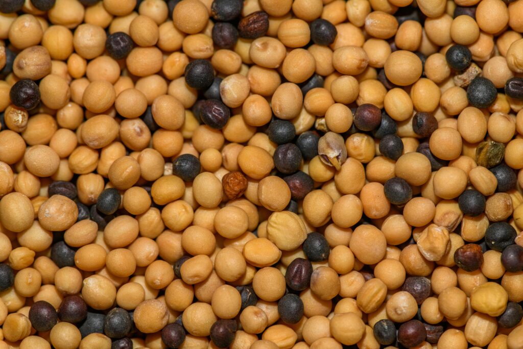 Detailed macro shot of yellow and black mustard seeds, perfect for culinary themes.