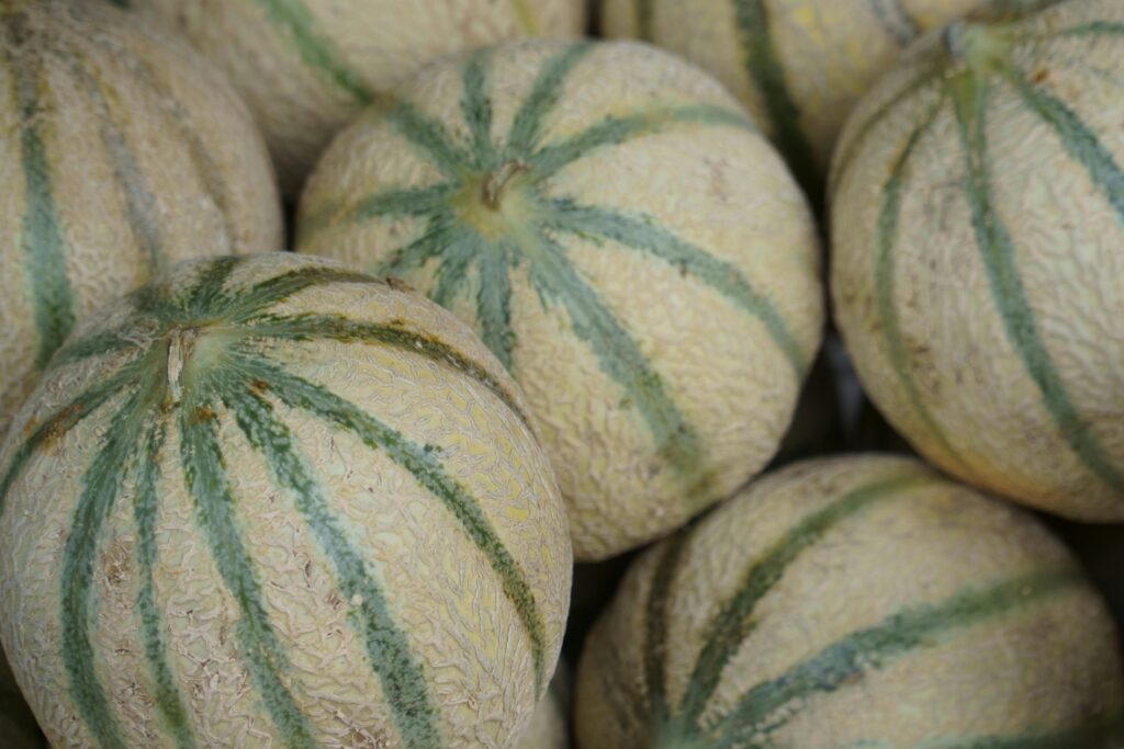 Close-up of fresh organic muskmelons with green stripes, ideal for healthy eating concepts.