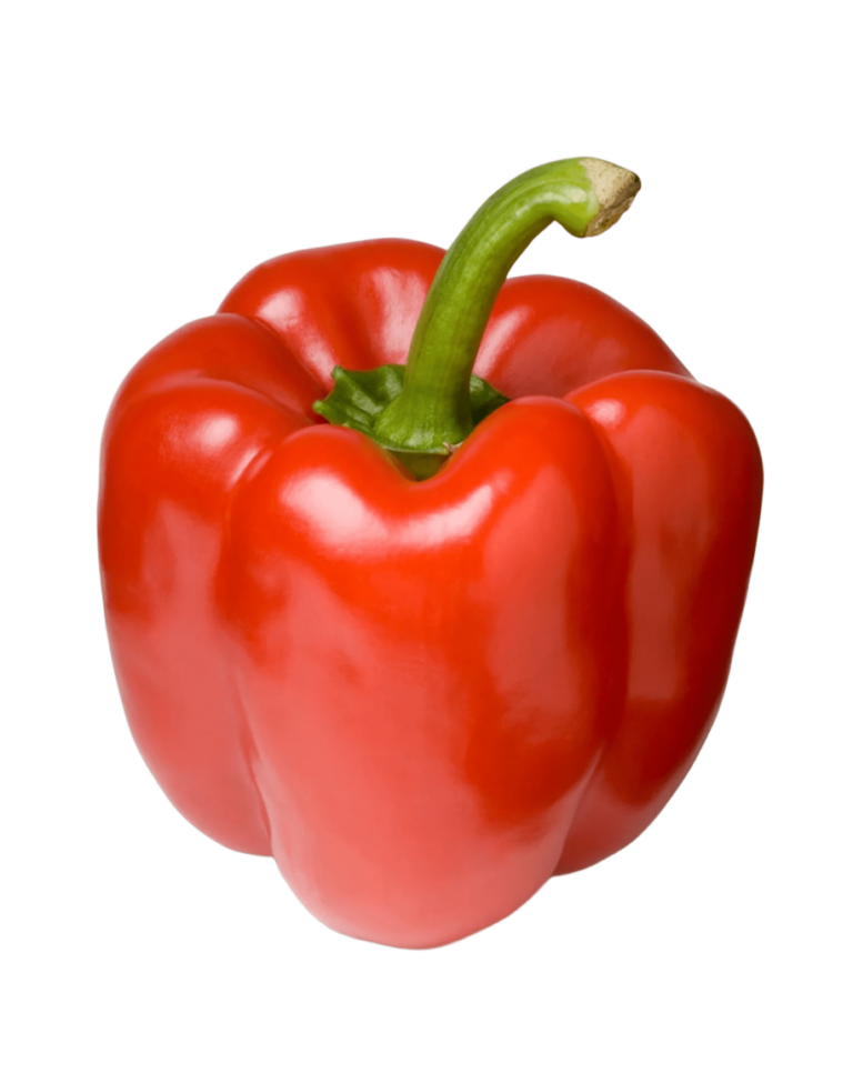 red capsicum (1)
