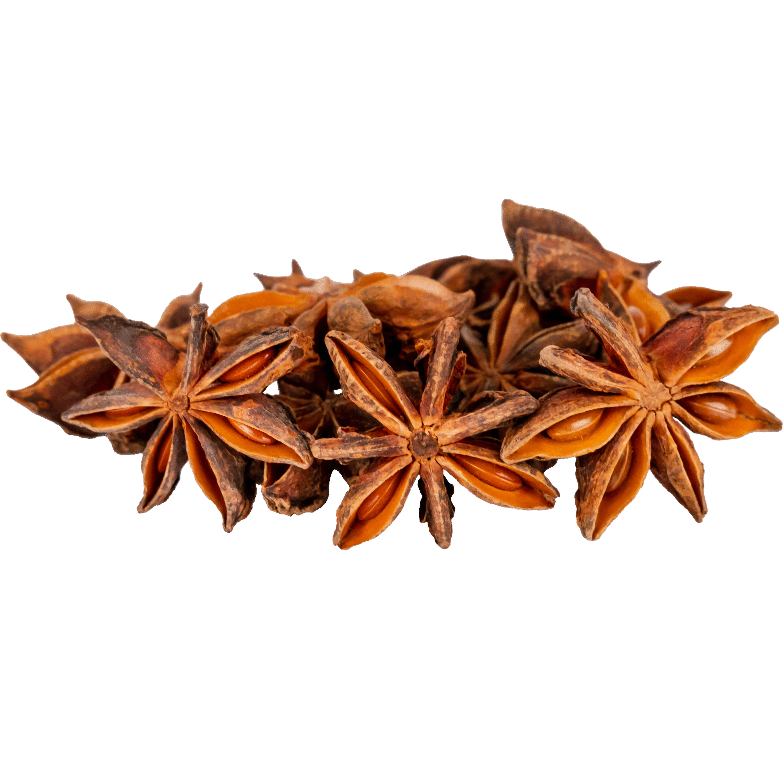 —pngtree—seasoning natural star anise spice 5664092